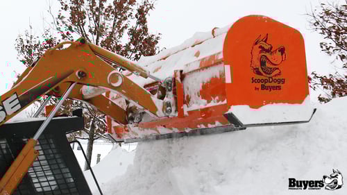 ScoopDogg_Logo_App_1